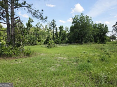 /international/us/sawmill-ailey-ga-110108666047/