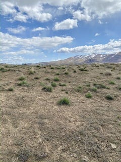 /international/us/1-acre-lance-drive-elko-nv-110107879826/
