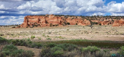 /international/us/red-rock-ranches-lot-17-prewitt-nm-110102286782/