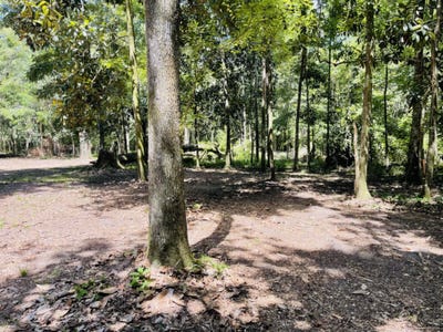 /international/us/1169-old-bumpy-road-tallahassee-fl-110101465041/?lang=zh-cn