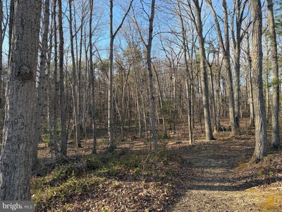 /international/us/woodland-church-rd-culpeper-va-110107876620/