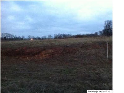 /international/us/near-12900-highway-280-lot-00-sterrett-al-110060463169/