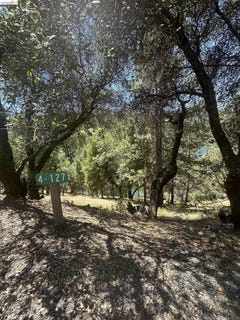 /international/us/4-127-pine-mountain-dr-groveland-ca-110108444803/