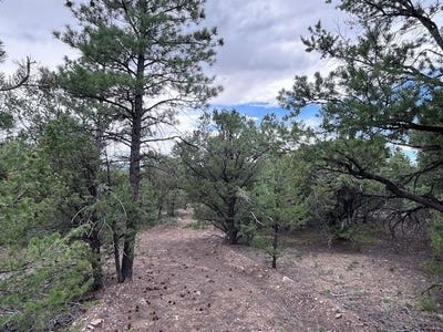/international/us/lot-61-upper-pinabete-questa-nm-110100869027/