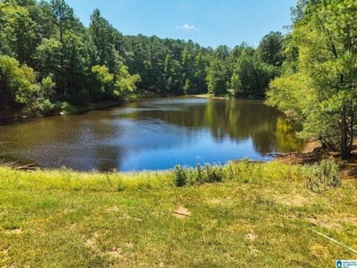 /international/us/1077-long-branch-parkway-lot-1077-calera-al-110110259544/