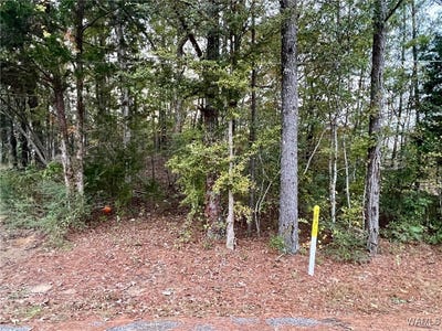 /international/us/8th-avenue-sw-fayette-al-110105035188/