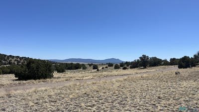 /international/us/golden-horseshoe-tr-road-lot-17-quemado-nm-110099957512/