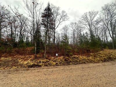 /international/us/lot-1-cth-b-land-o-lakes-wi-110095565722/
