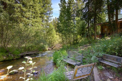 /international/us/115-lions-gate-drive-winter-park-co-110108280857/