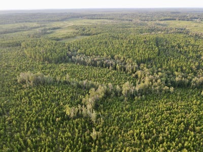 /international/us/0-highway-63-leakesville-ms-110101906260/