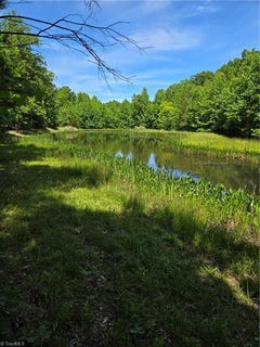 /international/us/335-healing-springs-drive-denton-nc-110108256514/