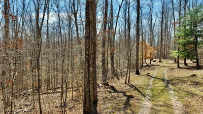 /international/us/watts-drive-lewisburg-wv-110104485004/