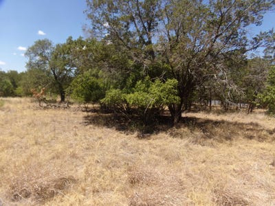 /international/us/lot-142-pine-cottonwood-shores-tx-110078963754/