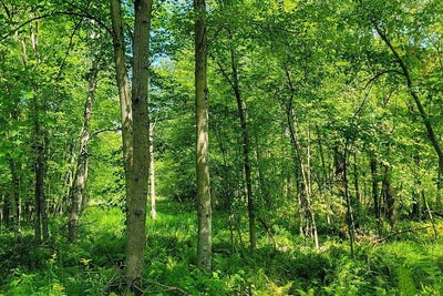 /international/us/2-810th-street-sand-creek-wi-110097337639/?lang=zh-tw