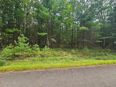 /international/us/lot-43-ripplewood-drive-tafton-pa-110101223922/?lang=zh-cn