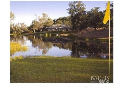 /international/us/18300-morgan-valley-road-lower-lake-ca-110120584496/