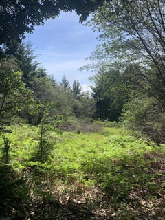 /international/us/454-476-forest-road-shelter-cove-ca-110108917838/