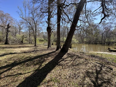 /international/us/lot-1-coon-bottom-estates-ponce-de-leon-fl-110099238079/