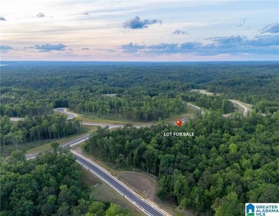 /international/us/9-lake-island-road-tuscaloosa-al-110099367811/?lang=zh-tw