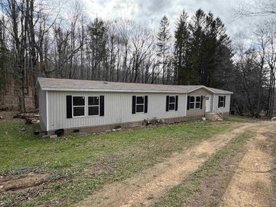 /international/us/18-mustang-lane-valley-head-wv-110108500054/