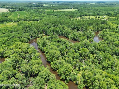 /international/us/10-acres-wildcat-satilla-river-lane-waycross-ga-110109032653/