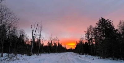 /international/us/17-cedar-valley-drive-mount-chase-me-110120559708/