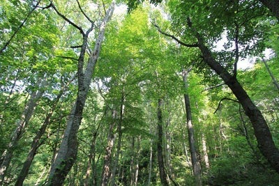 /international/us/108-point-lookout-ln-lot-108-independence-va-110003604261/