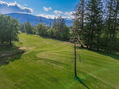 /international/us/1430-golf-club-drive-cave-junction-or-110099584977/