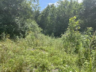 /international/us/2750-shadrick-ferry-road-frankfort-ky-110101196957/?lang=zh-tw