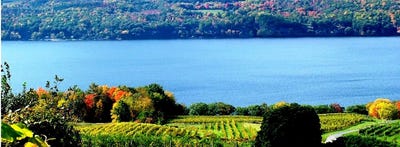 /international/us/4966-state-route-414-burdett-ny-110106982464/