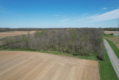 /international/us/5-628-acres-county-road-28-west-liberty-oh-110105335599/