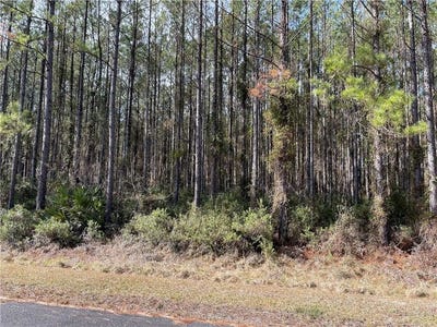 /international/us/lot-67-waverly-lane-white-oak-ga-110100161464/