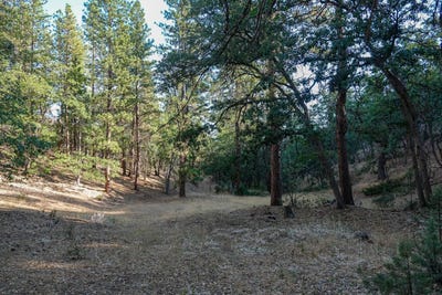 /international/us/0-east-rd-fort-jones-ca-110096571085/