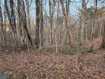 /international/us/00-nancy-drive-mount-airy-nc-110097788468/?lang=zh-tw