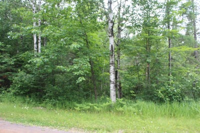 /international/us/51xx-olson-rd-brule-wi-110100752329/?lang=zh-tw