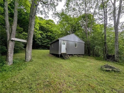 /international/us/paynesville-hill-road-independence-ny-110100382627/?lang=zh-cn