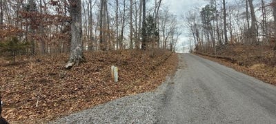 /international/us/1-tobaccoport-circle-lot-636-bumpus-mills-tn-110089669342/