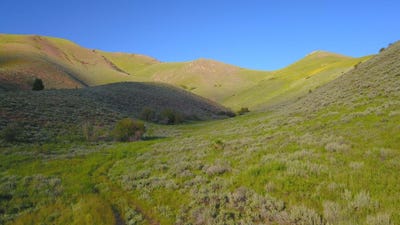 /international/us/100-water-gulch-rd-hailey-id-110106240029/