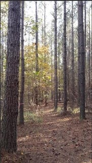 /international/us/1047-ponder-trammell-road-juliette-ga-110090533910/?lang=en