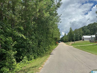 /international/us/715-fallview-lane-odenville-al-110101399001/?lang=zh-tw
