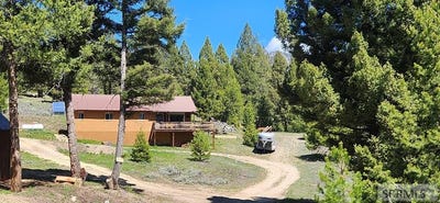 /international/us/34-grizzly-bear-road-salmon-id-110107653555/