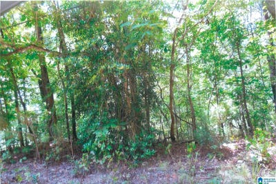 /international/us/00-1st-avenue-pell-city-al-110100622347/