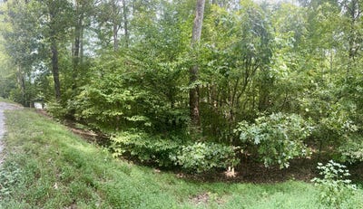 /international/us/parkersville-road-lot-24e-lot-25e-lot-26e-eddyville-ky-110110267445/