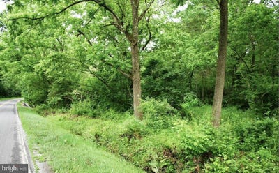 /international/us/carrs-mill-road-woodbine-md-110108334688/