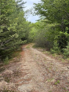 /international/us/6-bog-brook-loop-west-paris-me-110107401171/