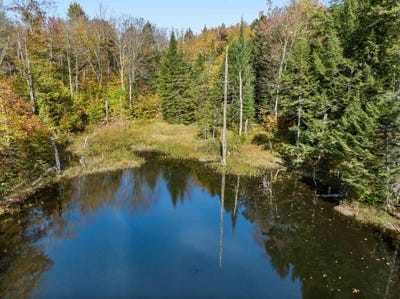 /international/us/jones-lane-wolcott-vt-110102708703/