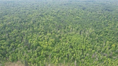 /international/us/parcel-c-ticonderoga-trail-hackensack-mn-110098150426/?lang=zh-tw