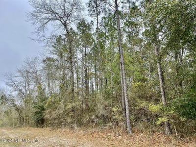 /international/us/15436-bullock-bluff-road-bryceville-fl-110090424864/