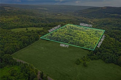 /international/us/0-slators-lane-lane-newfield-ny-110101210088/