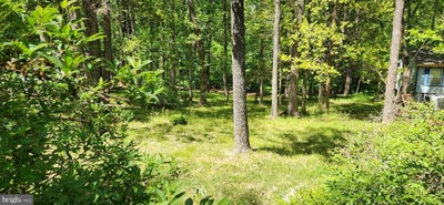 /international/us/nottingham-road-0-louisa-va-110108394853/